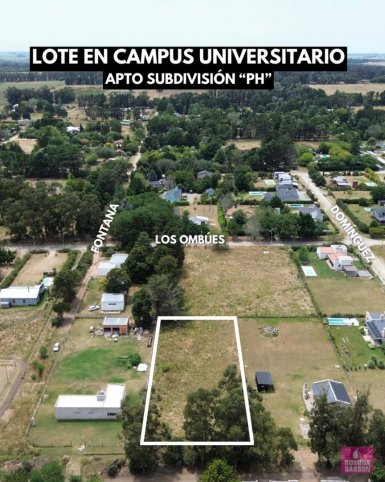 Los Nogales y Domínguez (Campus)