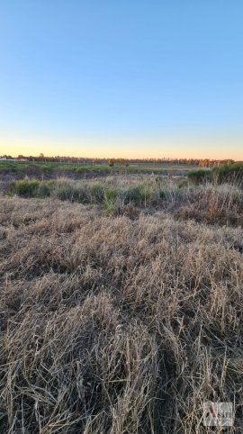 LOTE EN VENTA ZONA CAMPUS