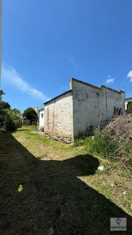 Tacuari 500