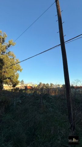 Lote en venta sobre calle Pedersen entre Muñiz y Argerich