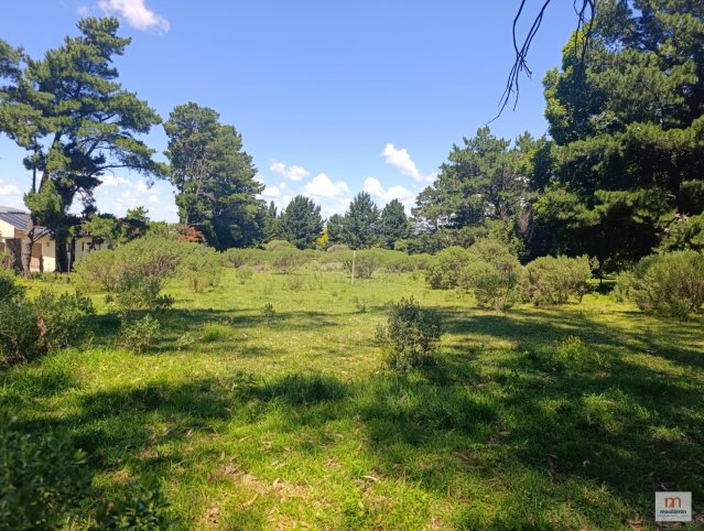 Lote de 4624m² en Los Maizales - Acceso Rancho Popy