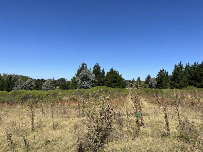 Lote en Venta de 2100m² en Petunias (PARAISO)