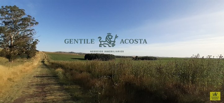 lote en venta zona la porteña 12847 m²
