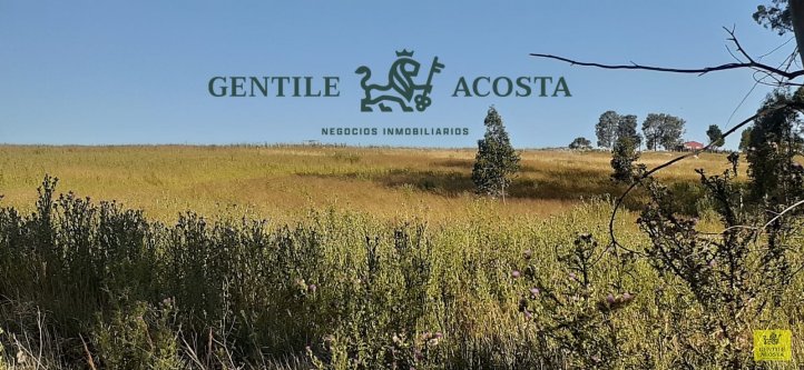 lote en venta zona la porteña 12847 m²