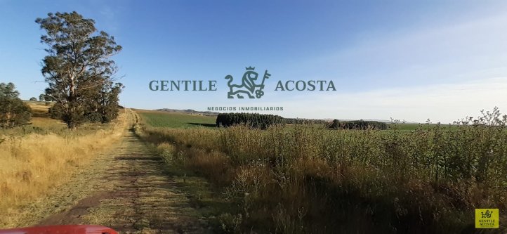lote en venta zona la porteña 12847 m²