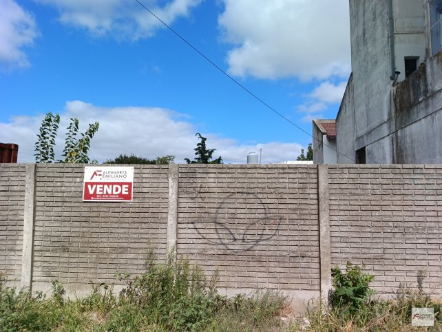 Montiel 866