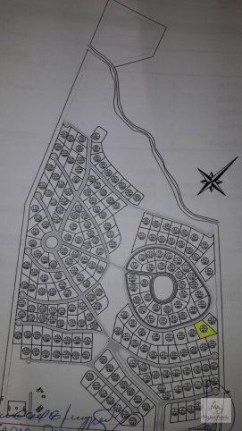 La mata