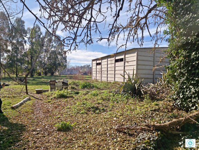 Lote de 5300 mts en Sans Souci
