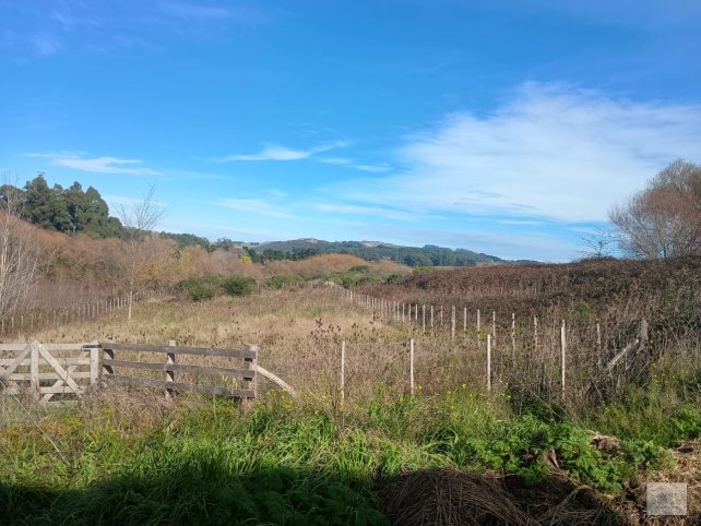 Lote en venta 649m² en San Gabriel y Brivio, zona del lago