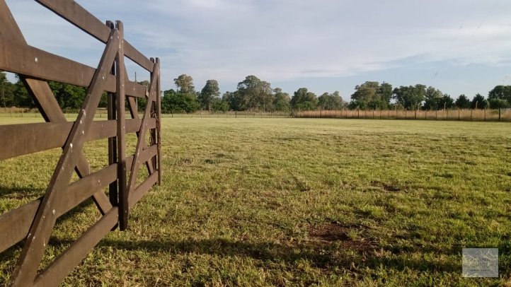 Lote en Venta 4225m² en Patagonia y Los Huesos
