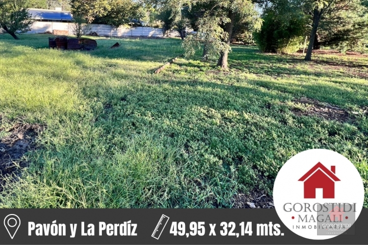 Lote en Venta 49,95 x 32,14 mts — Pavón y La Perdiz