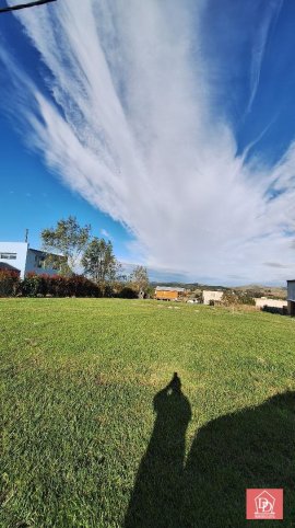 CASUARINAS ( LA ELENA)