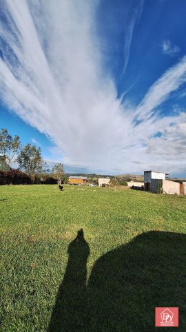 CASUARINAS ( LA ELENA)