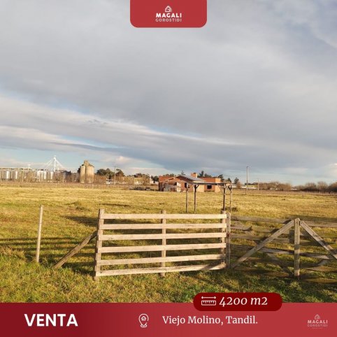 Lote en Venta 4200m² en Viejo Molino