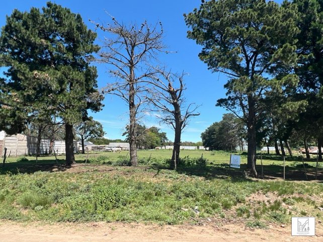 Lote en Beiro entre Ruta 226 y Ruta 30