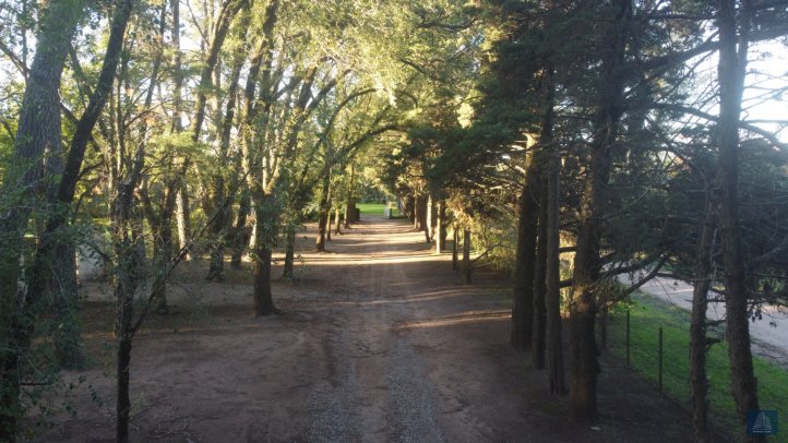 Lote en Venta 2500m² — La Pampa entre Rosales y Tucumán