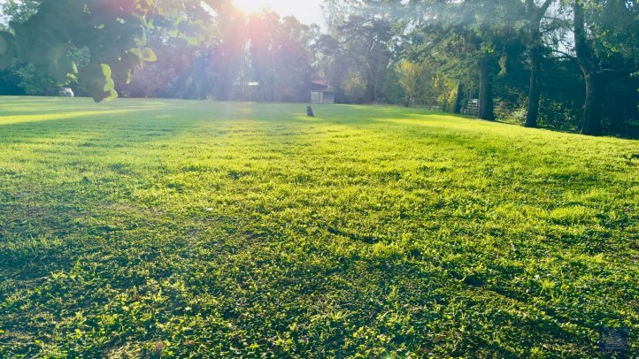 Lote en Venta 2500m² — La Pampa entre Rosales y Tucumán