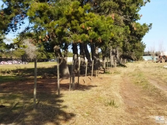 Lote en Venta Beiro 1000