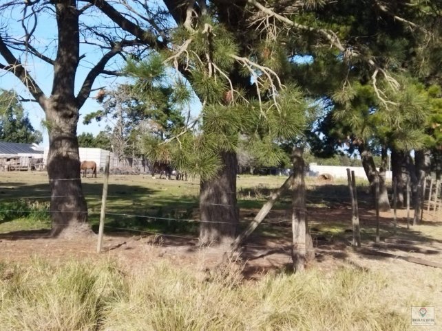 Lote en Venta Beiro 1000