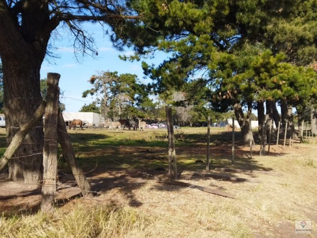 Lote en Venta Beiro 1000