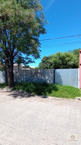 PIEDRABUENA AL 300