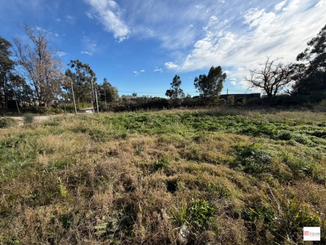 Lote en Venta en esquina de 945 m² — Segundo Sombra y Muñiz