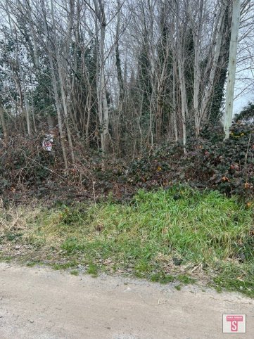 Lote arbolado en excelente zona — Holanda entre Frondizi y Dabidos
