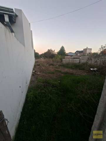 Lote en venta en calle Fidanza de 10 x 40 mts