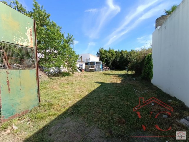 Arenales al 300