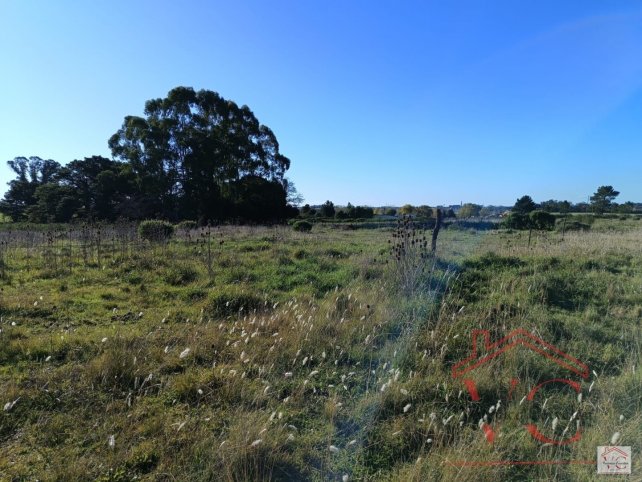 Lote en Venta Fernández y Galicia