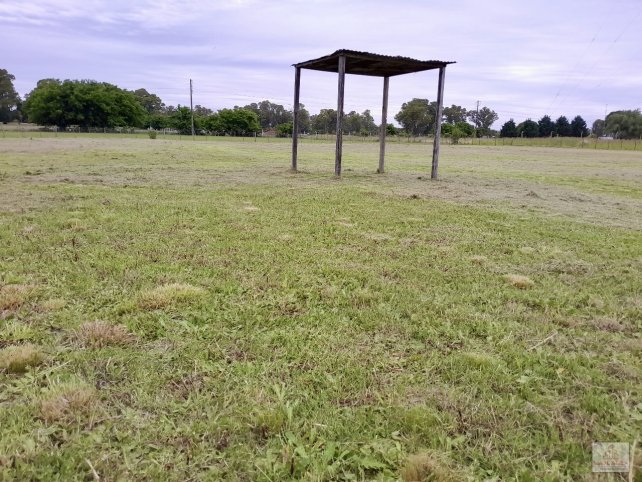 Lote en venta de 4200m² en Patagonia y Los Huesos