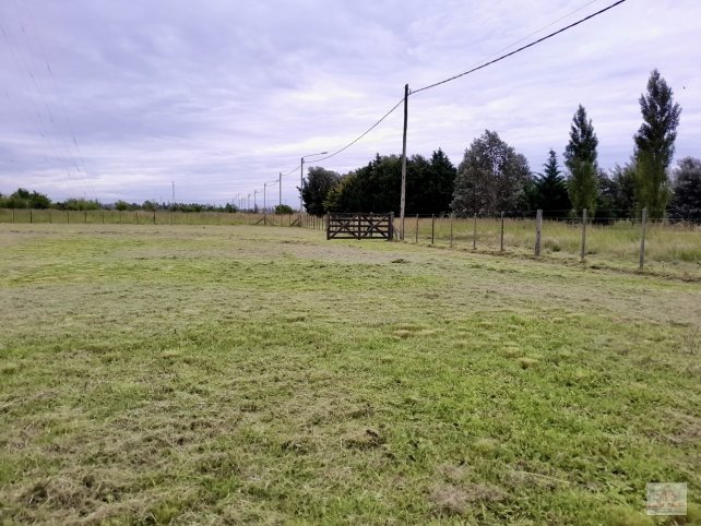 Lote en venta de 4200m² en Patagonia y Los Huesos