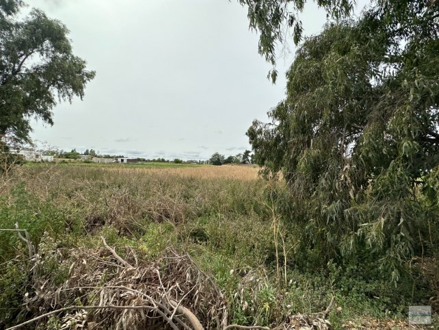 Lote zona La Blanqueada
