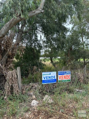 Lote zona La Blanqueada