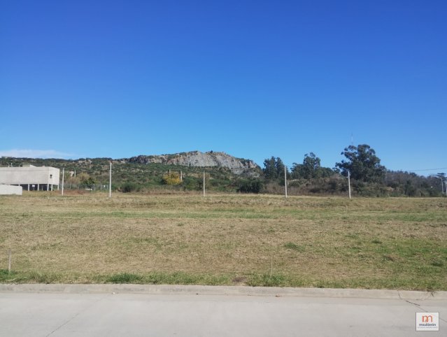 Zona El Calvario - Loteo Residencial