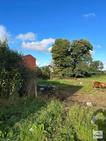 Lote de 1000m² en Las Malvinas — Todos los servicios