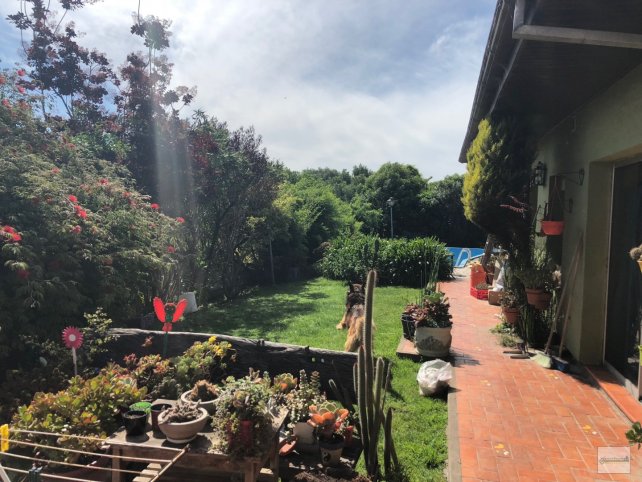Casa 3 dorm, 230m² con pileta — Av. Avellaneda