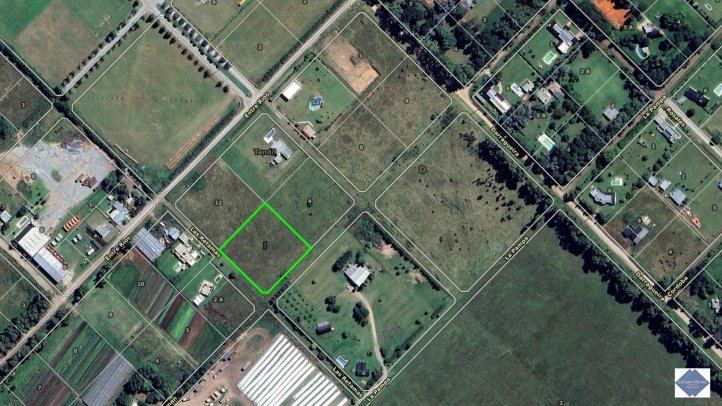 Entre rios y las retamas