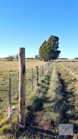 Lote en Venta Zona Juarez