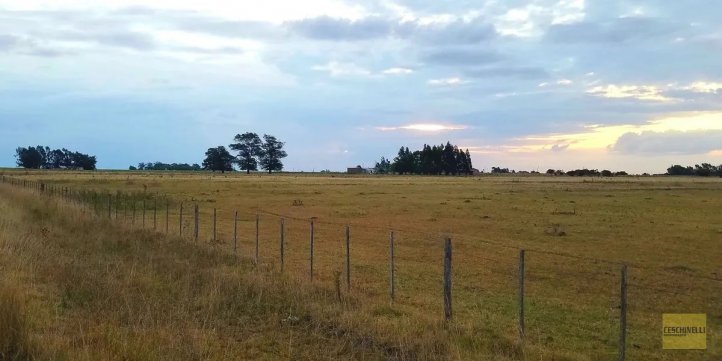 Chacra de 2ha, a 45min de Tandil