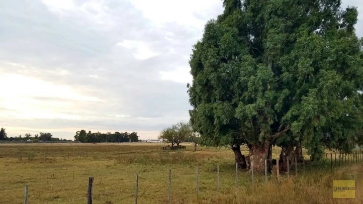 Chacra de 2ha, a 45min de Tandil