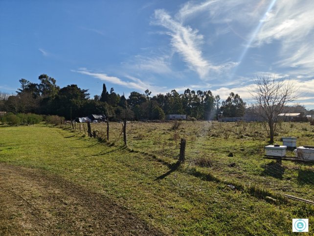 Lote 2800 m² en esquina de Napaleufú y Vigil