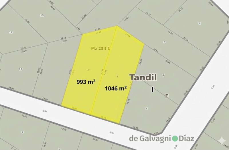 Ñandu - La ELENA