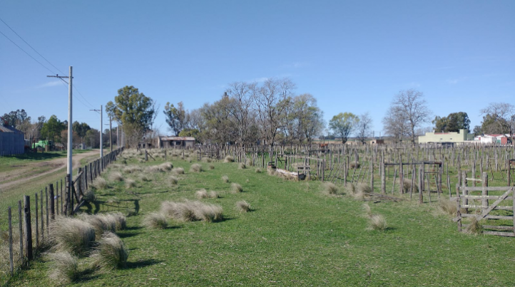 Quinta en venta 2 has, ideal para granja, casa y galpón a reciclar