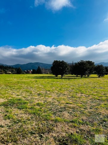 Lote en Venta La Mata