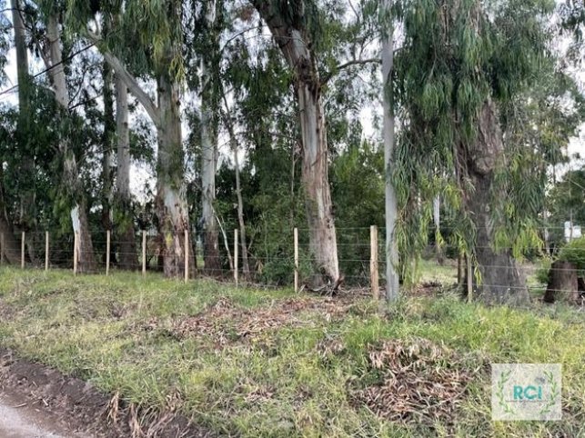Lote en venta 700m² en Calihue y Pabon — Ideal para construir