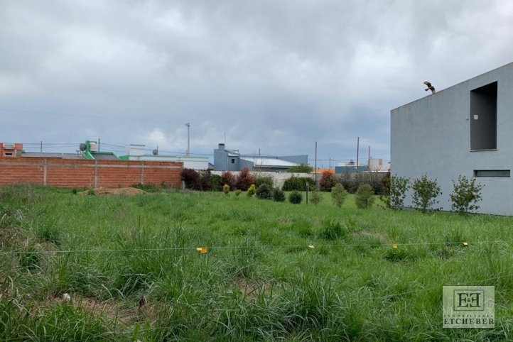 Lote en venta 525m² en Peyrel 300, zona Hipódromo