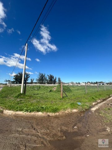 Las Malvinas y Laraleofu