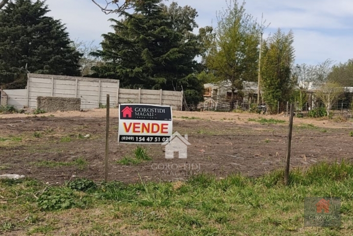 Lote en Cerro Leones de 1060m² con todos los servicios