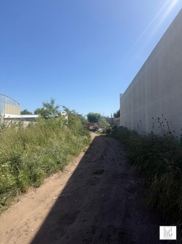 Piedrabuena 2662